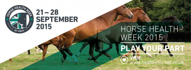 De Boer & Taylor Equine Vets - Horse Health Week