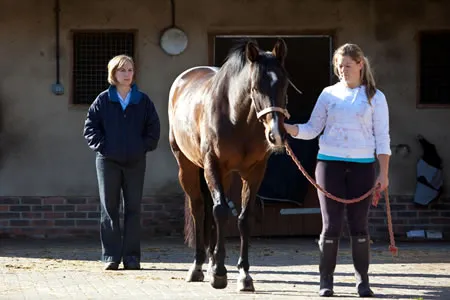 de Boer & Taylor - Emergency care