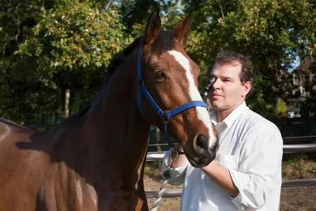 de Boer & Taylor - Vetting examinations