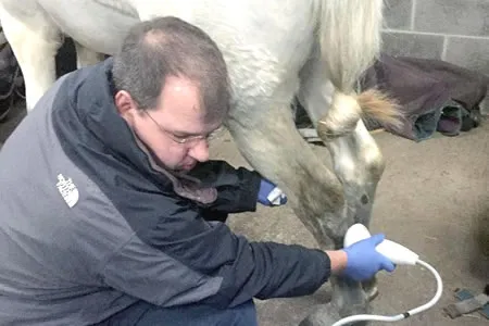 de Boer & Taylor - Shockwave therapy