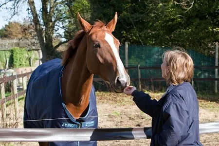 de Boer & Taylor - Reproductive procedures